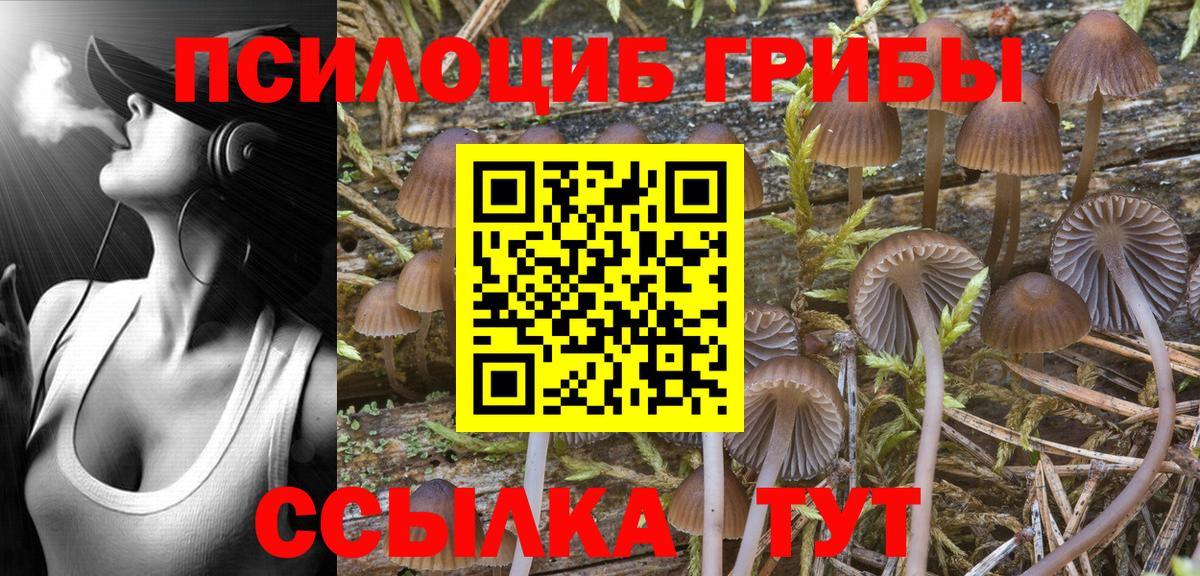 Набережные Челны  Галлюциногенные грибы Psilocybe  Вход с VPN 