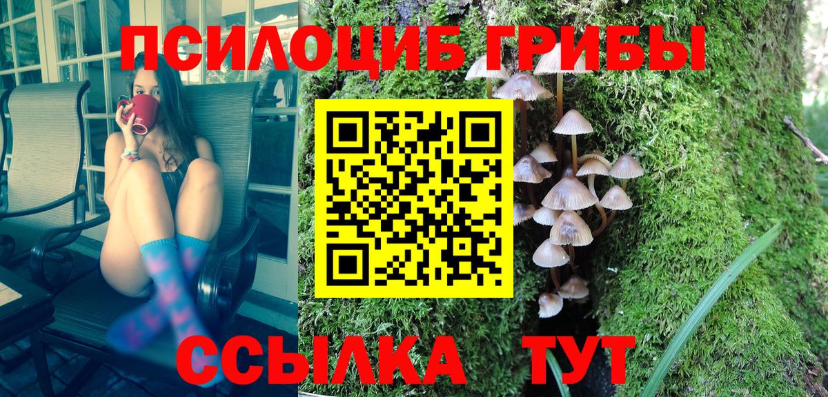 Галлюциногенные грибы Psilocybine cubensis Набережные Челны